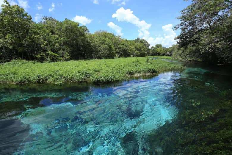 Rio Sucuri em Bonito