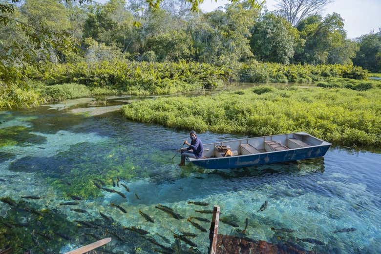 O rio tem a terceira água mais cristalina do mundo!