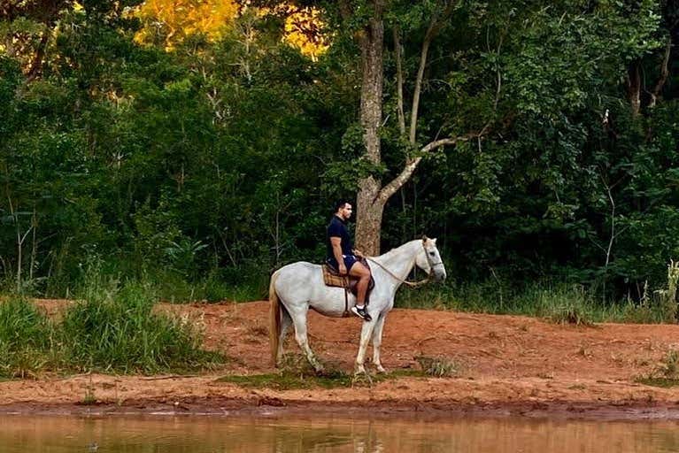 Horse World - Cavalo bonito – Apps no Google Play