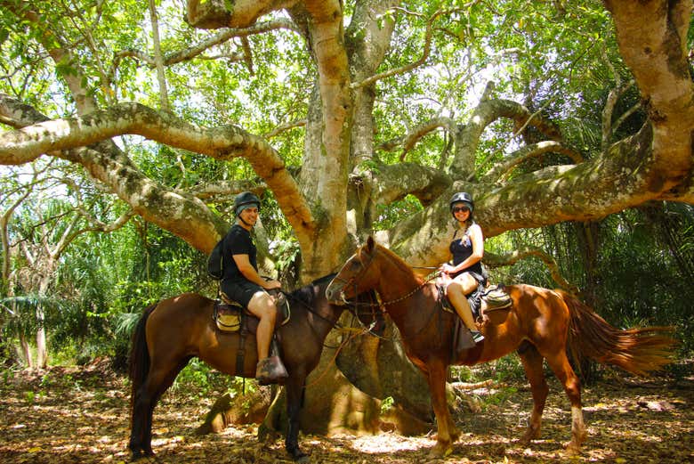 Rota equestre pelo Parque Ecológico Rio Formoso