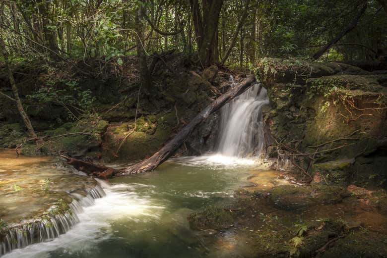 The typical landscape of the Bodoquena