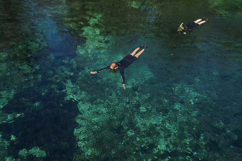 Practicad snorkel en aguas cristalinas
