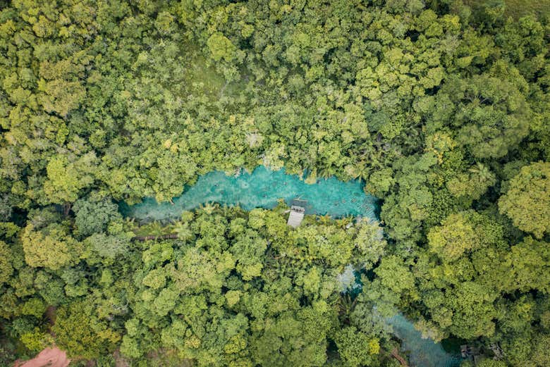 Você vai passar um dia rodeado pela natureza
