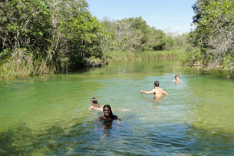 Desfrutando do Bosque das Águas