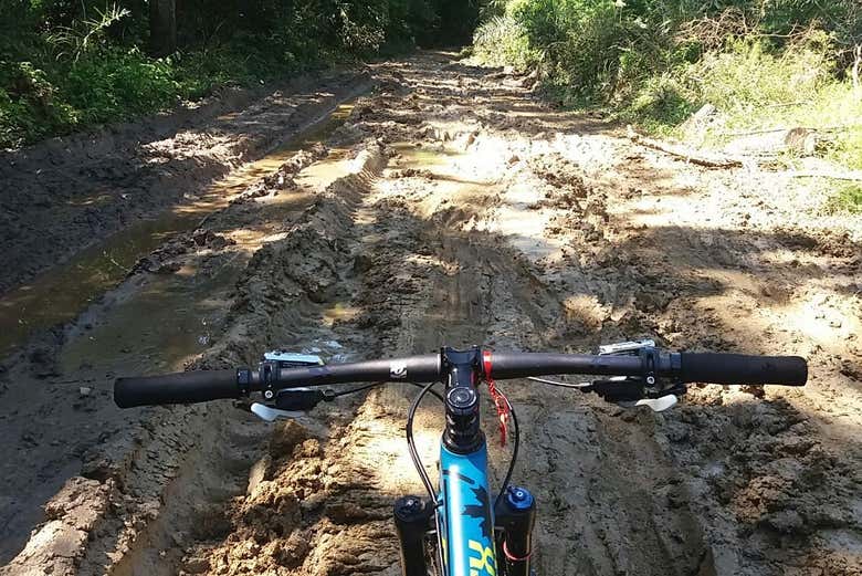 Atravessando estradas de terra