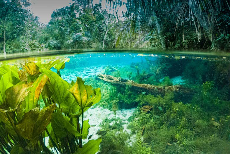 Águas cristalinas da Nascente Azul