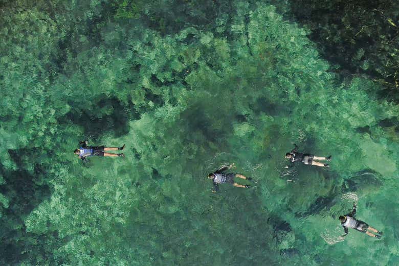 Sumergíos en un paraíso ecológico único en Brasil