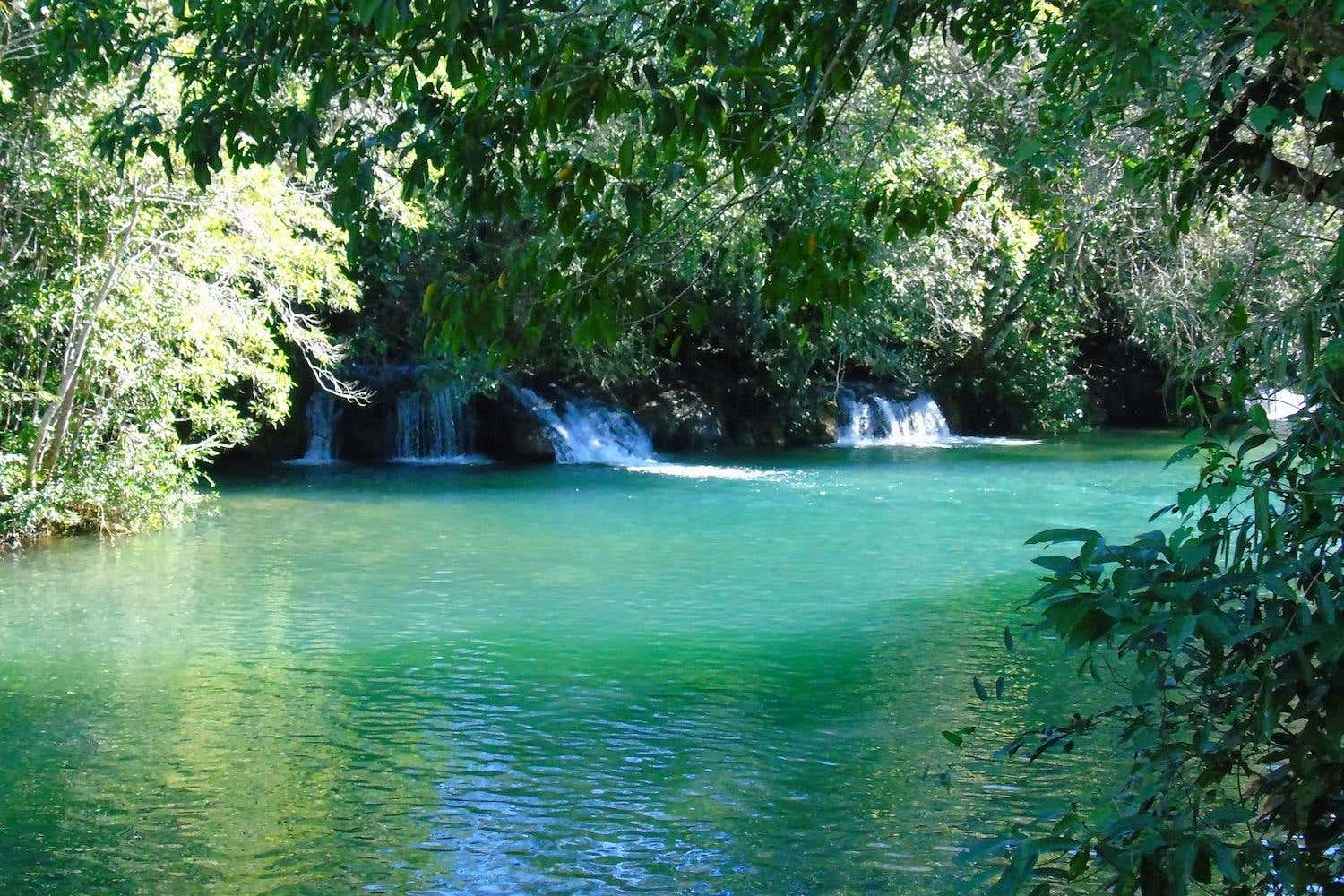 formoso-river-boat-trip-from-bonito-book-online-at-civitatis