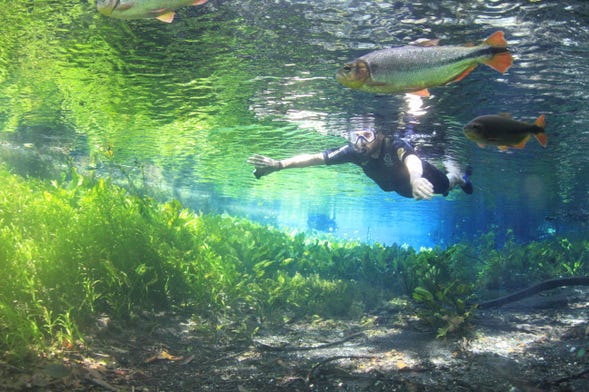 Onde encontrar águas cristalinas no Brasil para um mergulho perfeito