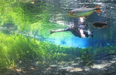 Mergulho de flutuação no Aquário Natural