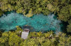 Snorkeling dans la rivière Bonito