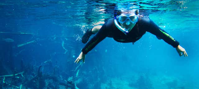 Snorkelling in the Prata & Olho d'Água Rivers