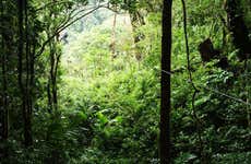 Tour de aventura em Bonito