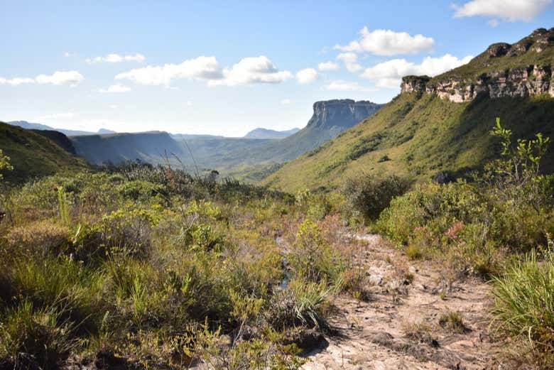 Descubrid la increíble biodiversidad del relieve de Botucatu