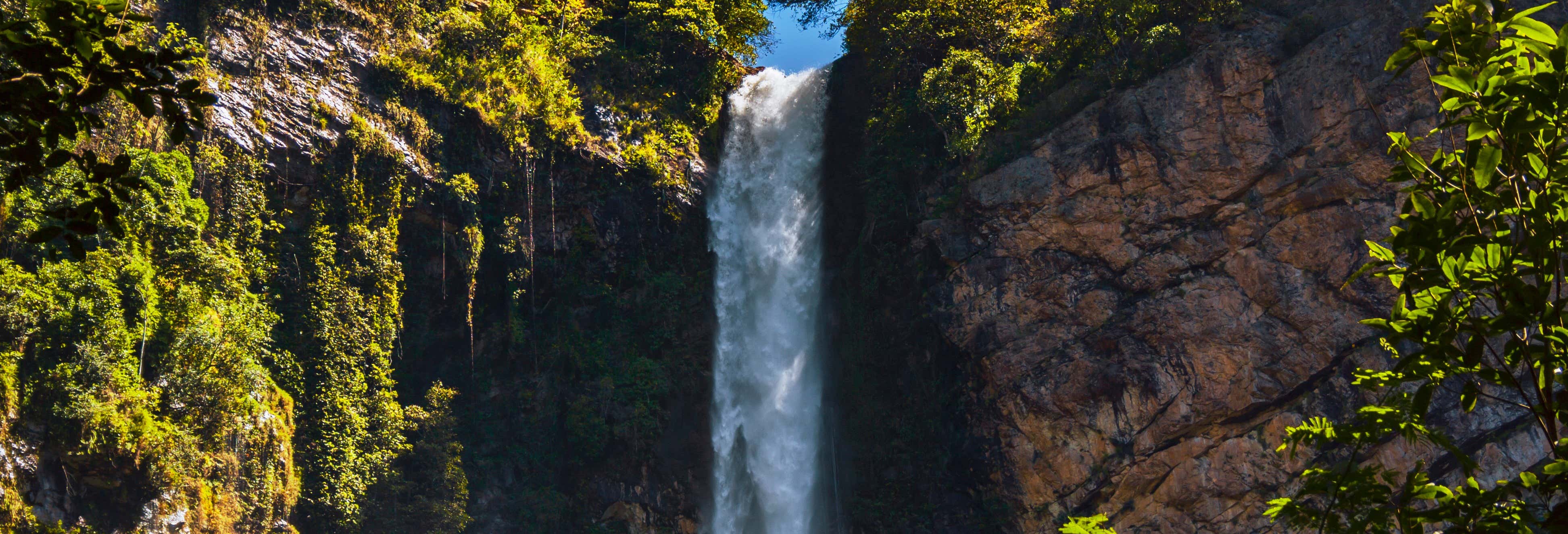 Day trips in Brasilia