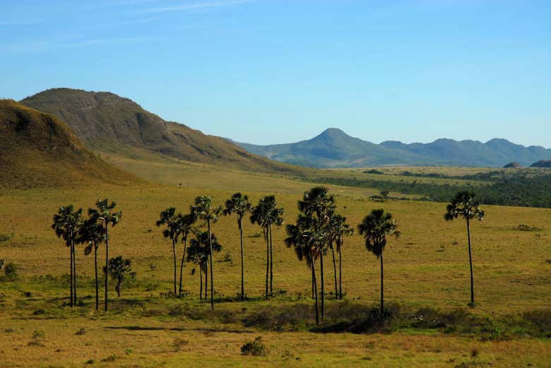 Chapada dos Veadeiros natural park