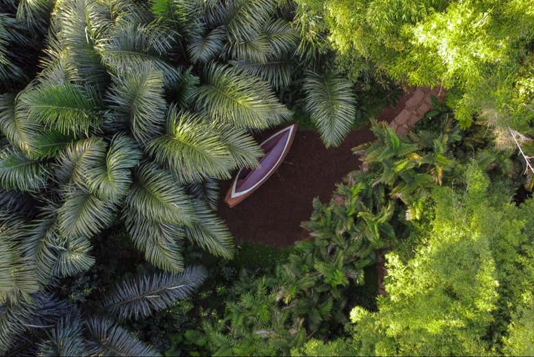 La exuberante vegetación tropical del parque
