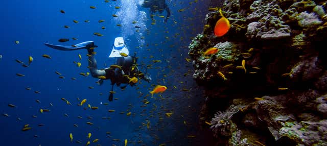 Bautismo de buceo en Búzios