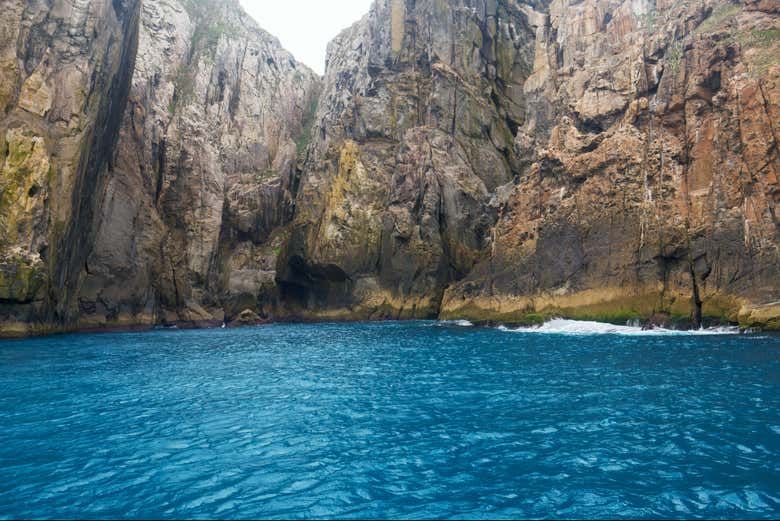 Admire the Blue Grotto