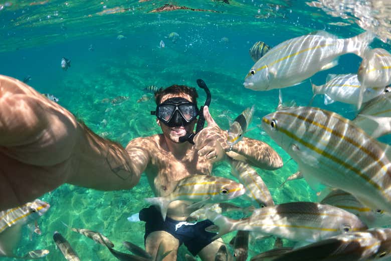 Nuotando in acque cristalline piene di vita