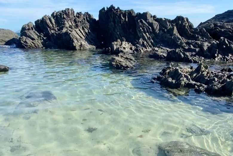 Swim in crystal-clear water