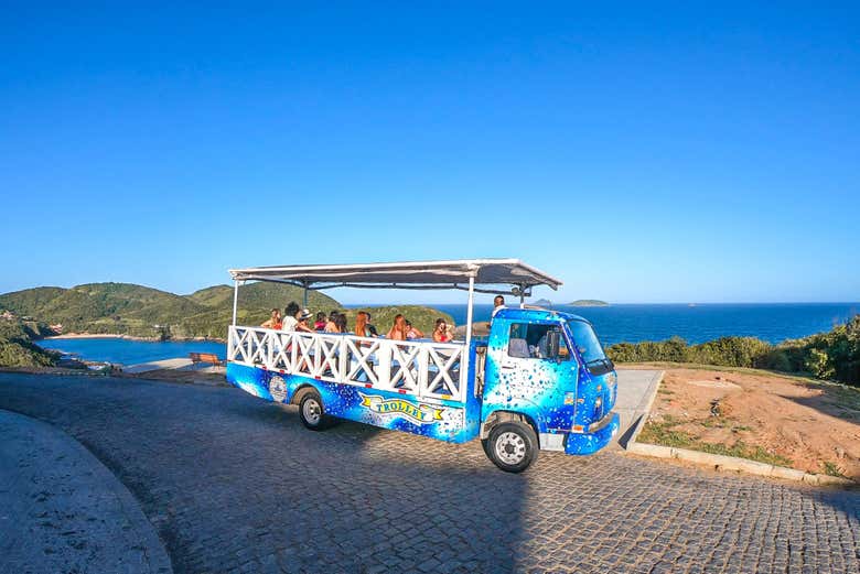 Take an exciting sightseeing tour