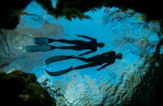 Snorkel noturno em Búzios