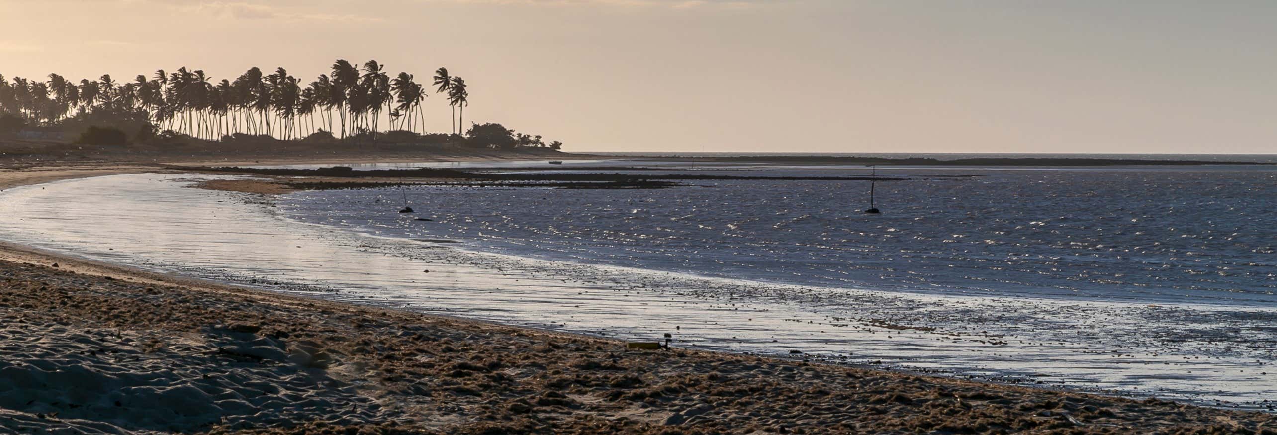 Cajueiro da Praia