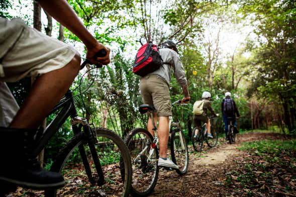 Full Day Bike Rental