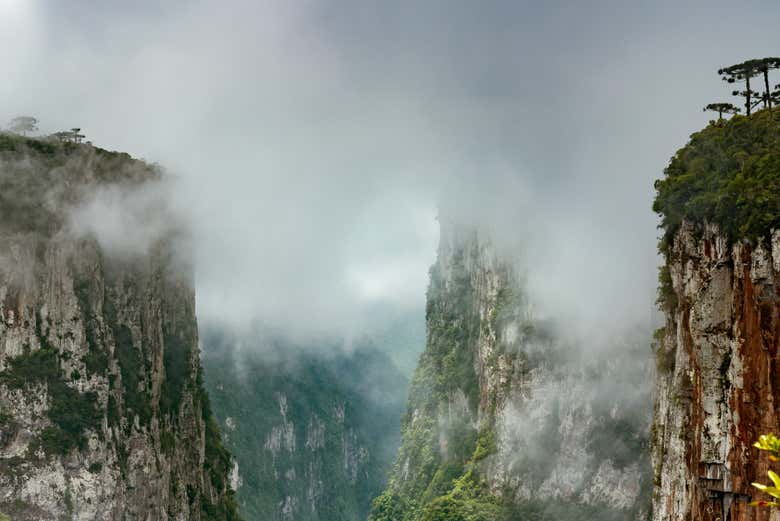 Fog covering the steep cliffs