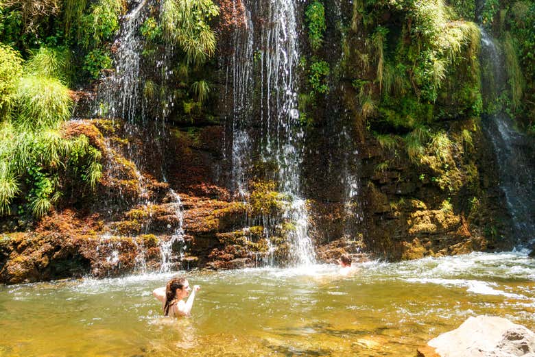 Enjoy the natural beauty of Brazil on this day trip hike
