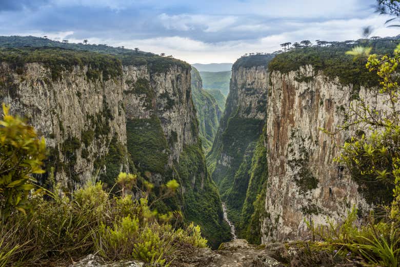 You'll be amazed by the views of Itaimbezinho canyon