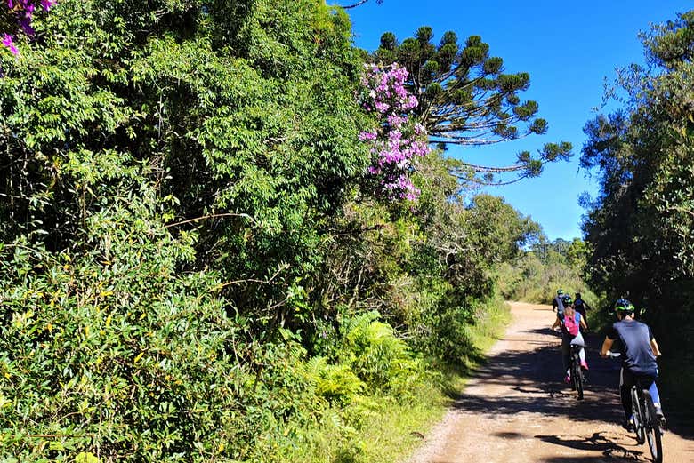 Un des paysages que vous verrez au cours de la balade à vélo