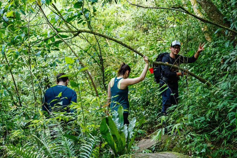 Fazendo a trilha no meio da mata