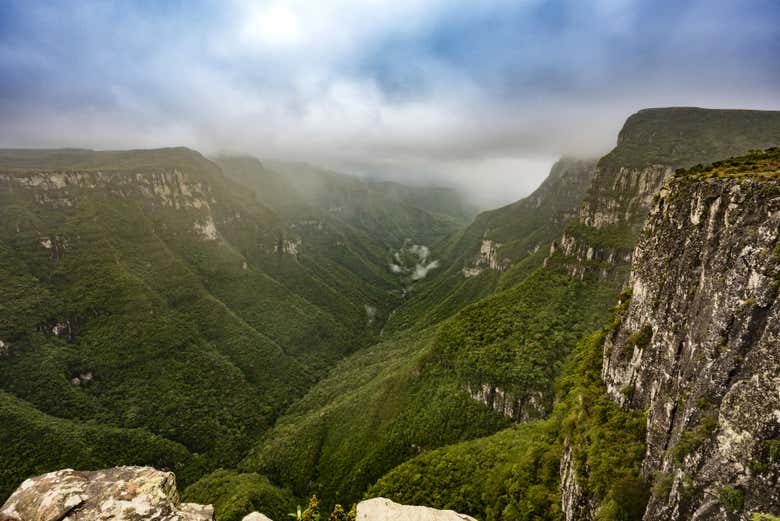 Landscapes full of vegetation