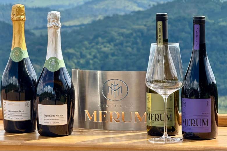 Alcuni dei vini che assaggerete durante il tour