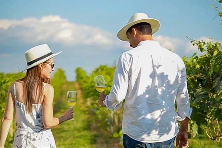 Una passeggiata tra i vigneti della Bodega InnVernia