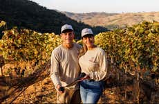 Tour del café y el vino por Espírito Santo do Pinhal