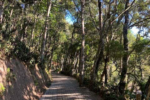 Trilhas do parque