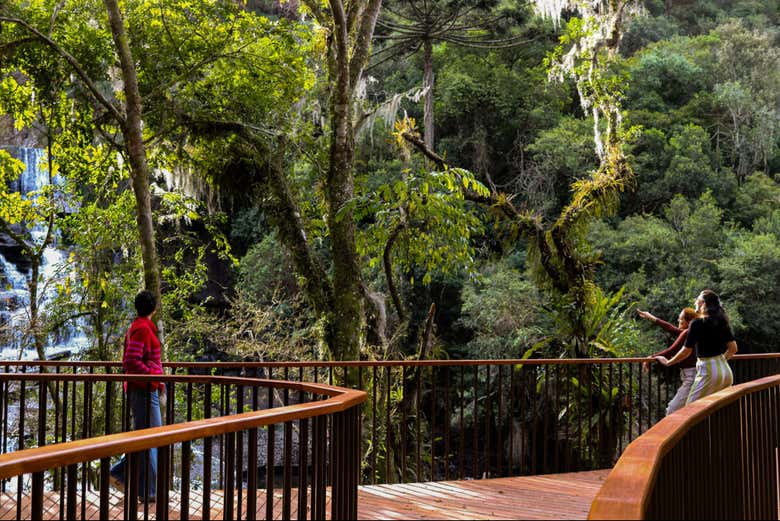 Contemplando las bellas cascadas del parque
