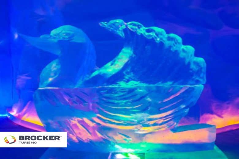 O ingresso inclui: Entrada no Parque Mundo Gelado do Capitão + C