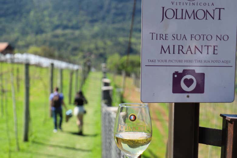 La bodega cuenta con un mirador con vistas preciosas