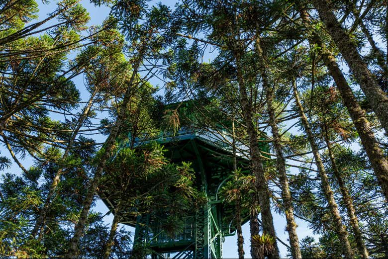 Uno de los observatorios del parque