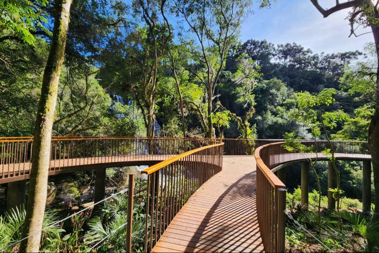 Uno de los numerosos caminos del parque