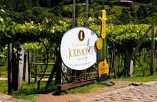 Visita a la bodega Jolimont
