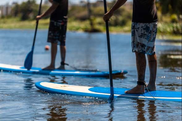 Excursión a Zero Wake Park