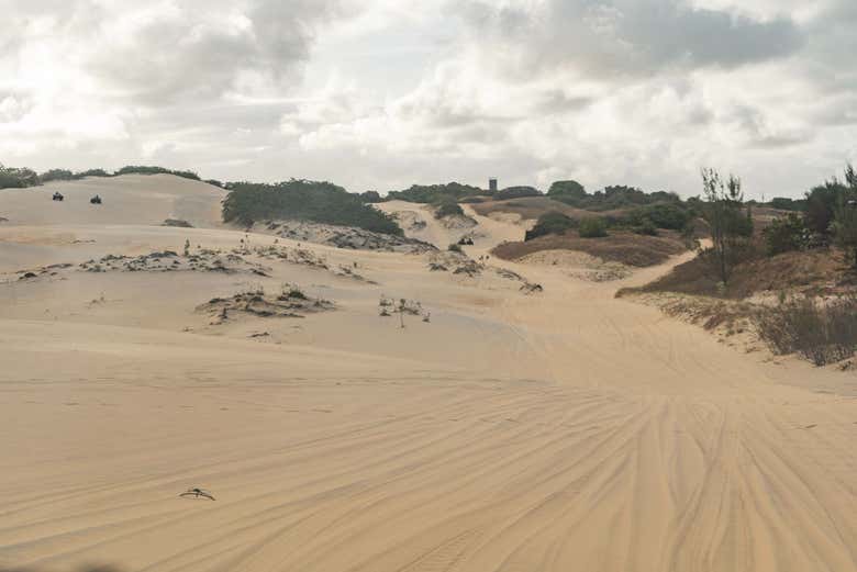 Paisagens das dunas de Cumbuco