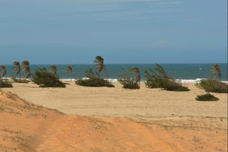 Você poderá desfrutar das paisagens do litoral do Ceára