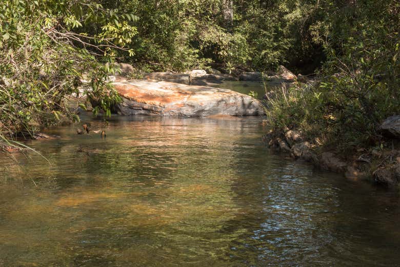Discover Brazilian wilderness