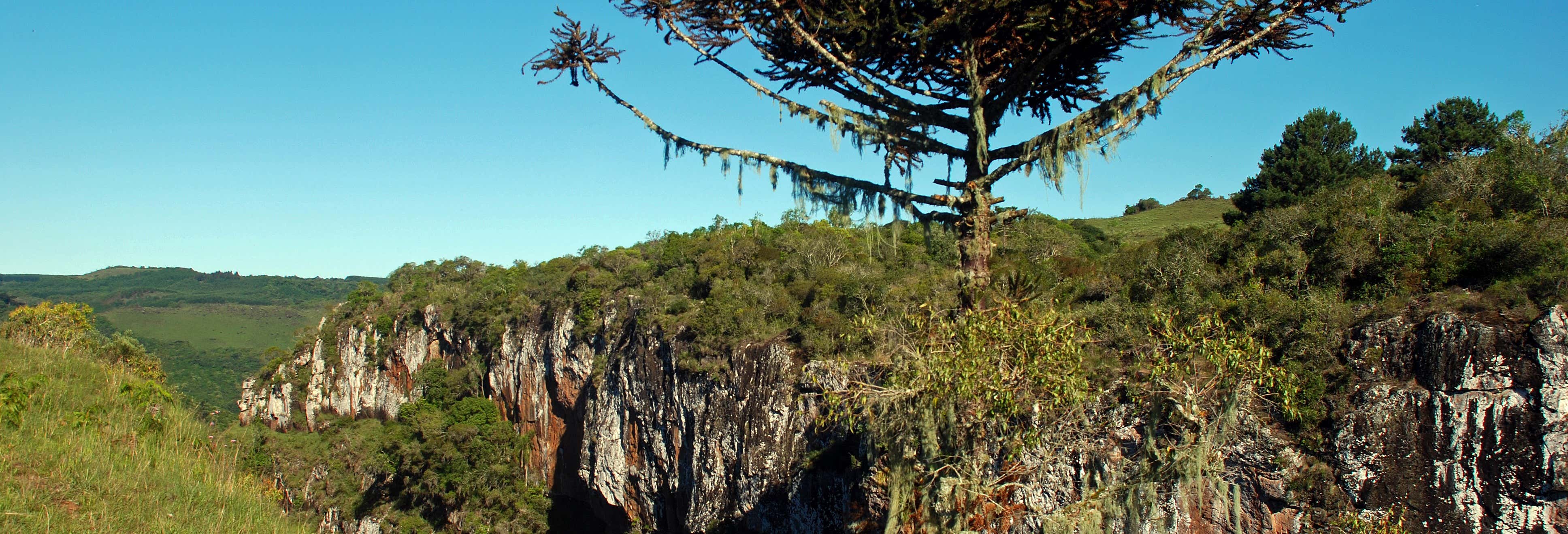 Day trips in Caxias do Sul